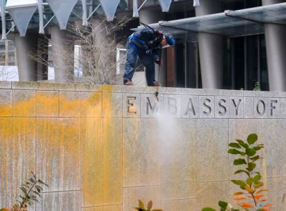 environmental activists target us embassy decry trump victory as climate breakdown environmental activists target us embassy decry trump victory as climate breakdown