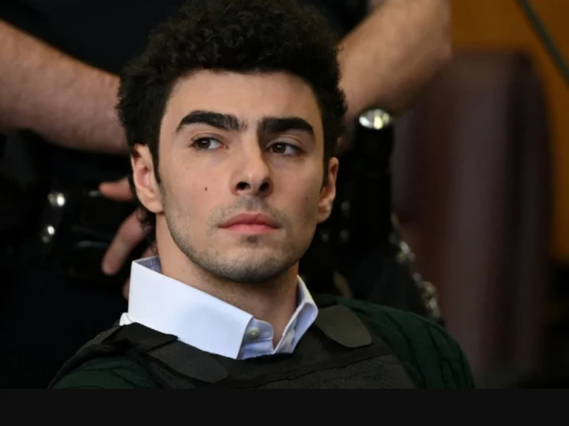 luigi mangione the suspect in the killing of unitedhealth group chief executive brian thompson appears in manhattan supreme court on new york state murder and terrorism charges in new york city us february 21 2025 photo reuters