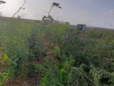the lyari river from nullah to woodland the lyari river from nullah to woodland