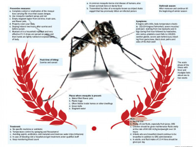 the fever that refuses to fade away