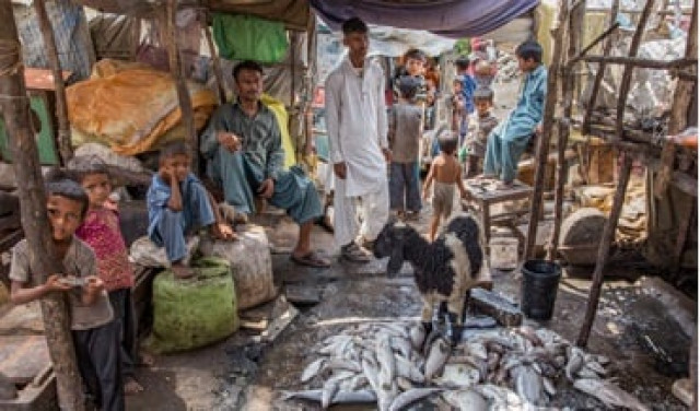 machar colony photo express machar colony photo express