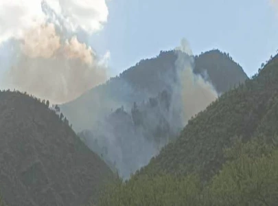 adviser oversees firefight effort