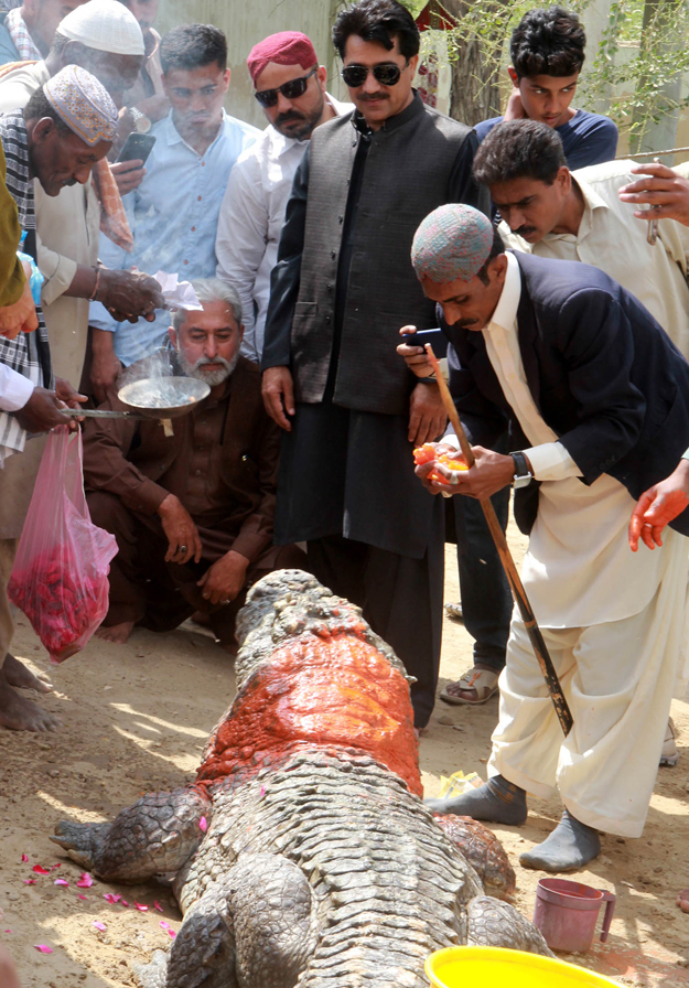 The Sheedi clan's chiefs adorned Mor Sahab's body with fragrances, a garland of flowers and sindoor. PHOTO: ATHAR KHAN