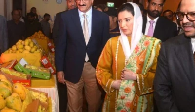 first lady graces mango diplomacy festival