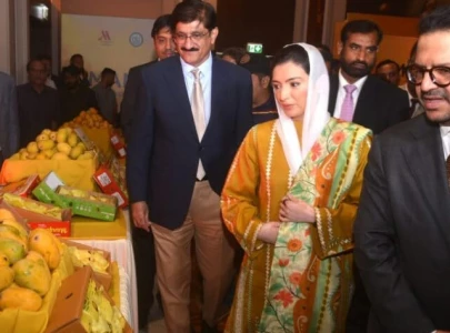 first lady graces mango diplomacy festival first lady graces mango diplomacy festival