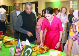 pak embassy hosts mango festival in us pak embassy hosts mango festival in us