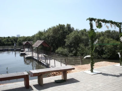 karachi welcomes country s first floating mangrove biodiversity park