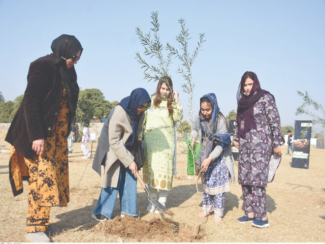 participants of the punjab mini marathon road race 2025 plant saplings along a green belt at fatimah jinnah park in the federal capital the marathon held from liaquat bagh sports complex to iqbal park shamsabad on murree road is part of the efforts to promote a healthier punjab photo online