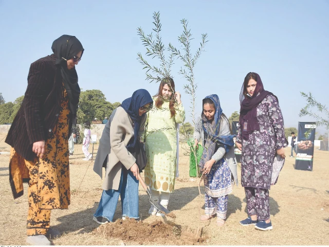 participants of the punjab mini marathon road race 2025 plant saplings along a green belt at fatimah jinnah park in the federal capital the marathon held from liaquat bagh sports complex to iqbal park shamsabad on murree road is part of the efforts to promote a healthier punjab photo online participants of the punjab mini marathon road race 2025 plant saplings along a green belt at fatimah jinnah park in the federal capital the marathon held from liaquat bagh sports complex to iqbal park shamsabad on murree road is part of the efforts to promote a healthier punjab photo online