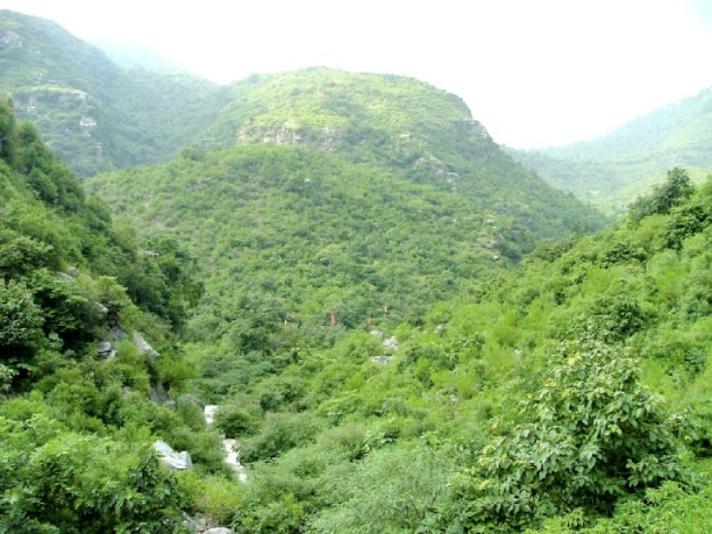 illegal structures at margalla hills razed