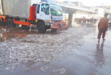 fishing waste photo express