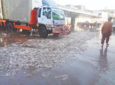 marine life at risk from fishing waste