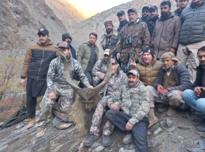 american hunter secures first kashmir markhor of season in chitral with record bid