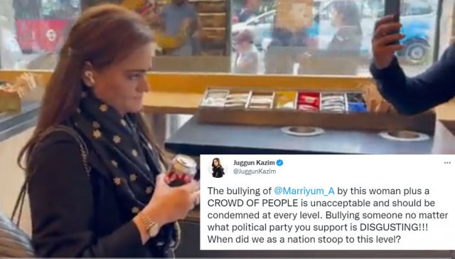 twitter lauds marriyum aurangzeb s calm and collected composure after pti supporters heckle her twitter lauds marriyum aurangzeb s calm and collected composure after pti supporters heckle her