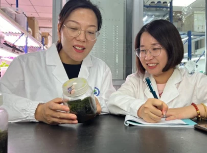 chinese scientists investigate moss to make mars habitable chinese scientists investigate moss to make mars habitable