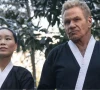 cobra kai s reel life villain martin kove turns real life villain at fan convention cobra kai s reel life villain martin kove turns real life villain at fan convention
