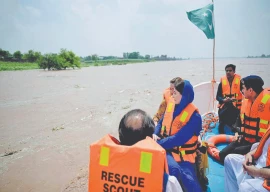 mandi bahauddin dc reprimanded