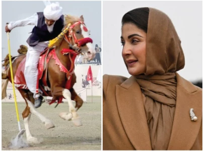 70 foreign teams to join horse and cattle show