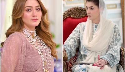 actor momina iqbal l and cm punjab maryam nawaz