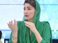 punjab chief minister maryam nawaz screengrab