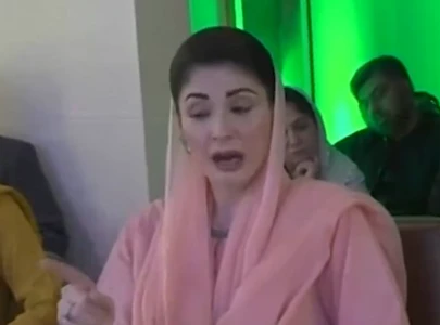 punjab at greater threat from other provinces than neighbouring countries cm maryam