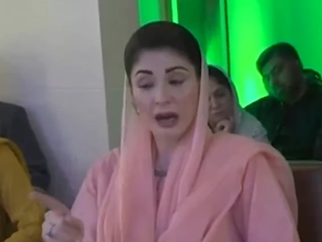 Punjab faces greater threat from neighbouring provinces than countries: CM Maryam
