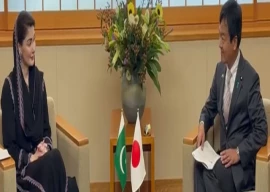 japanese minister praises punjab uplift schemes