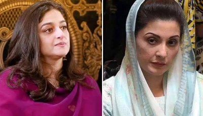 nadia jamil appeals to cm maryam to act on animal abuse in punjab