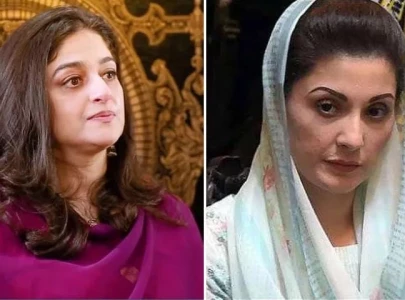 nadia jamil appeals to cm maryam to act on animal abuse in punjab nadia jamil appeals to cm maryam to act on animal abuse in punjab