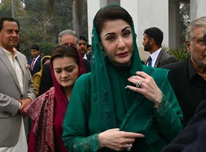 chinese projects have won hearts chinese projects have won hearts