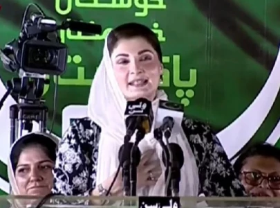 conspirators against nawaz got what they deserved