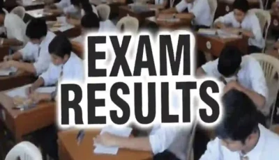 matric results marred by technical glitches matric results marred by technical glitches