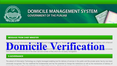youth allege graft in issuance of domiciles youth allege graft in issuance of domiciles