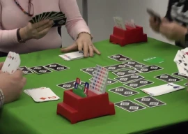 spades synapses society the link between neuroscience and bridge