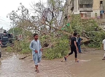 pedestrian crushed under tree pedestrian crushed under tree