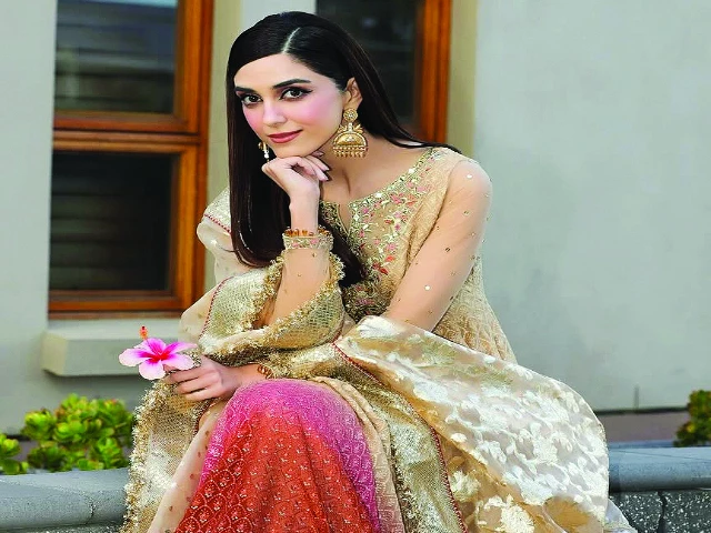 maya was last seen in sunn mere dil photo instagram maya was last seen in sunn mere dil photo instagram