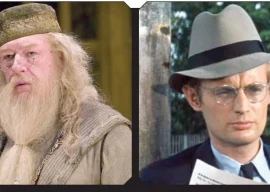 rest in peace ducky farewell dumbledore