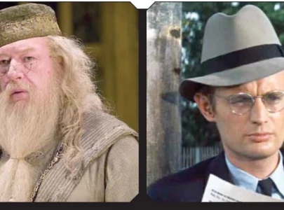 rest in peace ducky farewell dumbledore rest in peace ducky farewell dumbledore