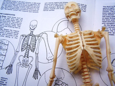 first public health sciences varsity on cards