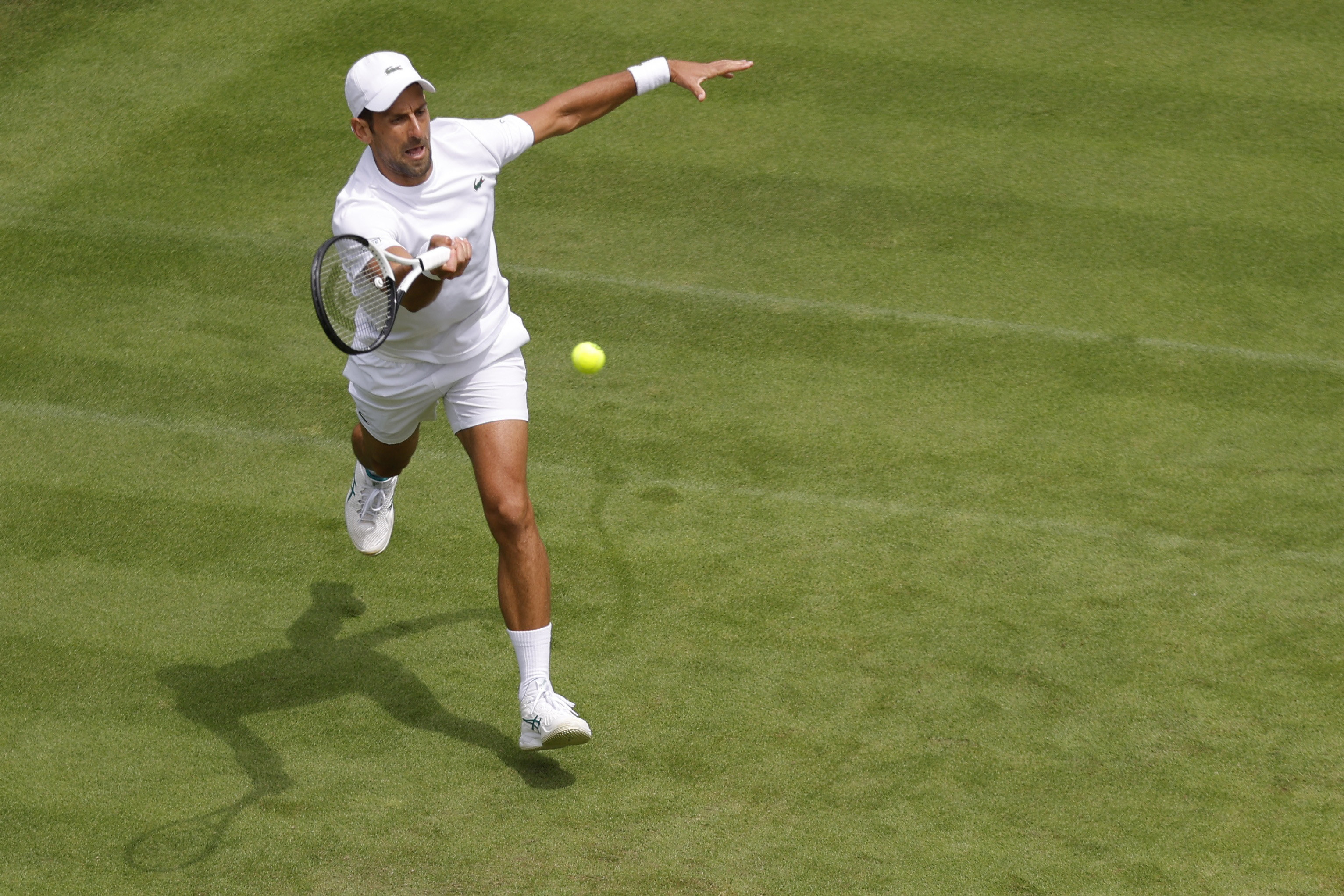 Djokovic is the 'greatest': Medvedev