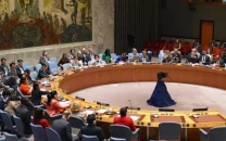 denmark warns unsc of ttp threat in central south asia