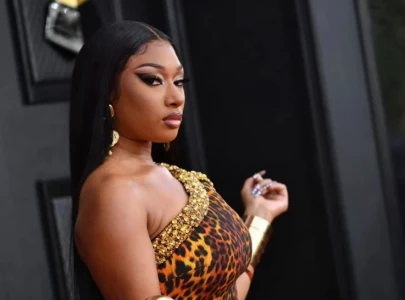 megan thee stallion stirs excitement with surprise lover girl announcement