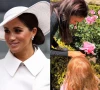 meghan markle shares rare photos of archie and lilibet enjoying garden day meghan markle shares rare photos of archie and lilibet enjoying garden day