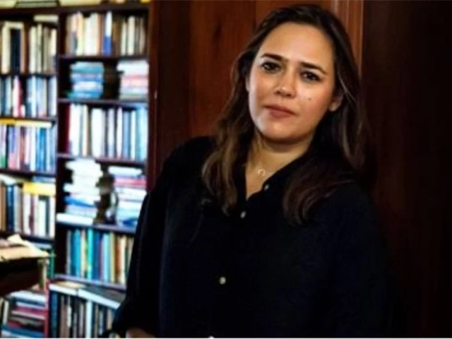 We are reduced to beggars in the Pakistani television industry, says Mehreen Jabbar