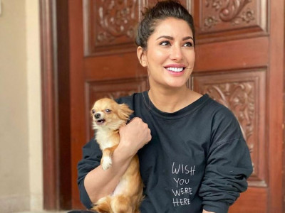 you re crying study shows dogs get teary eyed when they reunite with owners