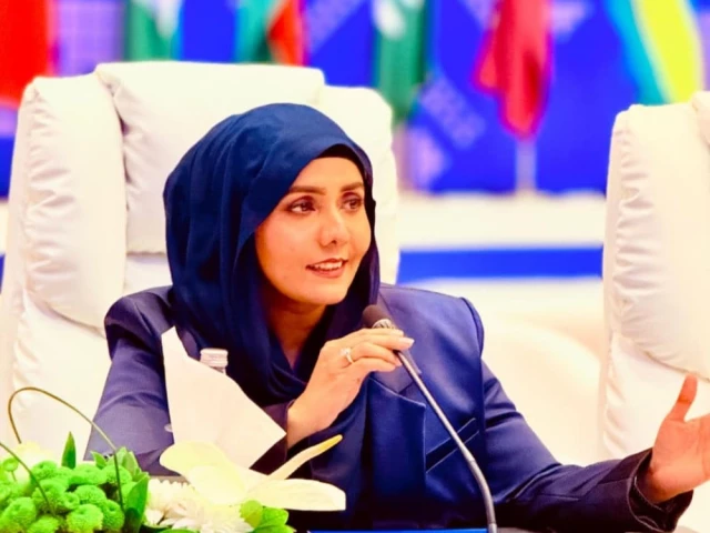 mehwish salman ali co chair of association for the advancement of artificial intelligence aaai pakistan chapter mehwish salman ali co chair of association for the advancement of artificial intelligence aaai pakistan chapter