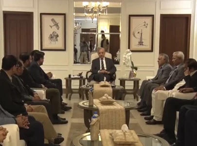 dar to head panel to bridge differences as mqm p leadership meets pm in karachi