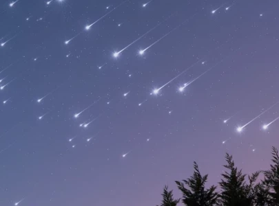 moonlight could dim views of orionid meteor shower remnants of halley s comet moonlight could dim views of orionid meteor shower remnants of halley s comet