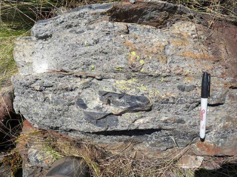 a bed of rock showing chunks of ripped up seafloor as debris from a tsunami that followed a huge meteorite impact on earth dating back to about 3 26 billion years ago seen in a region called the barberton greenstone belt in northeastern south africa in this undated photograph photo reuters