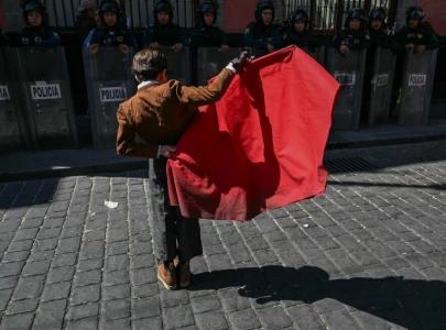 mexico city bans killing bulls mexico city bans killing bulls